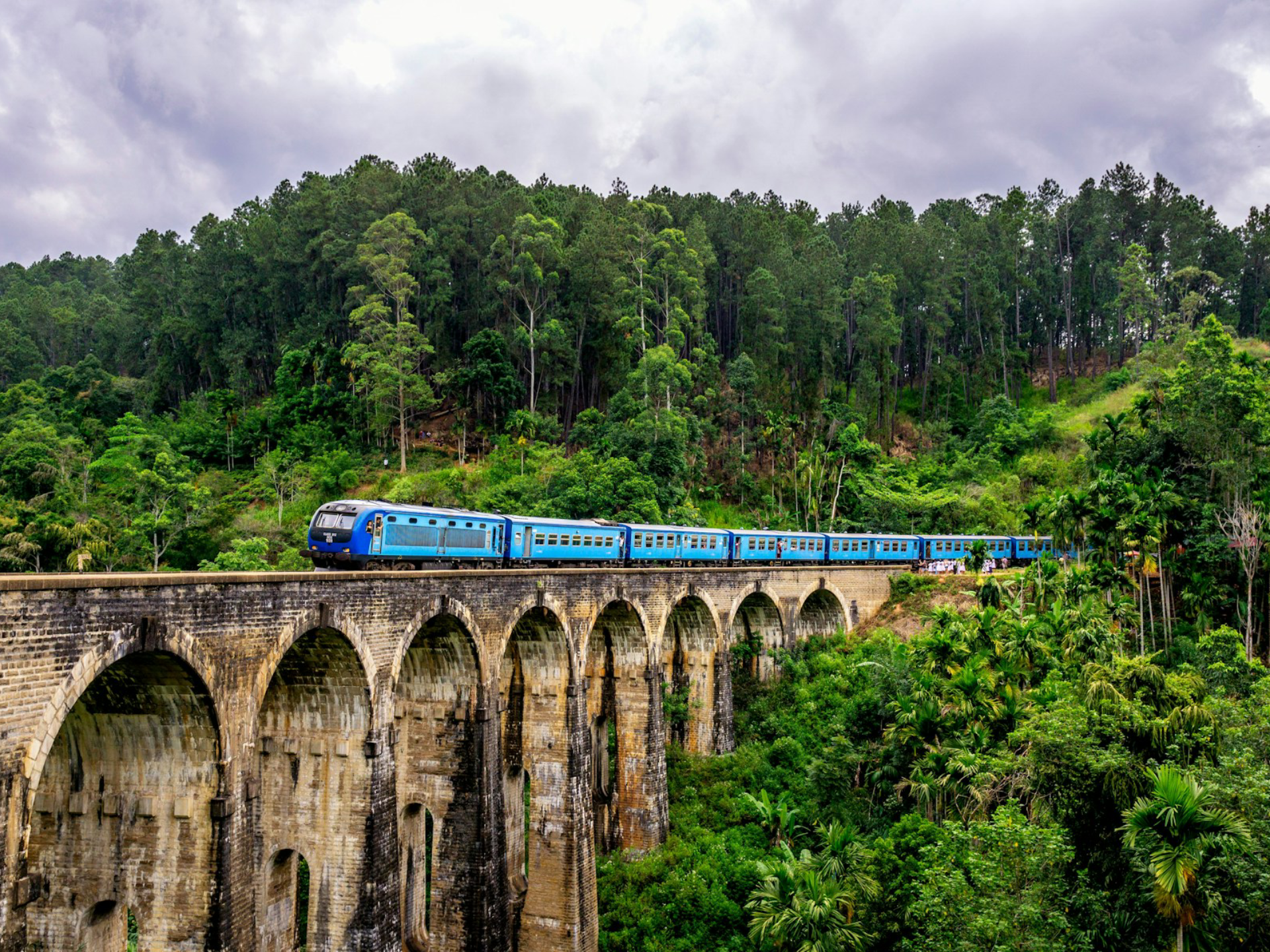 Sri Lanka Tour Specialist