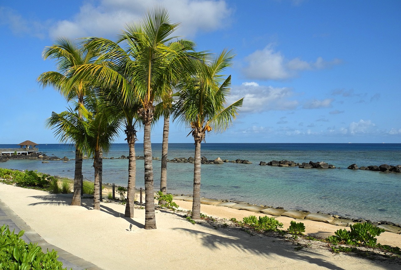 Departure from Mauritius