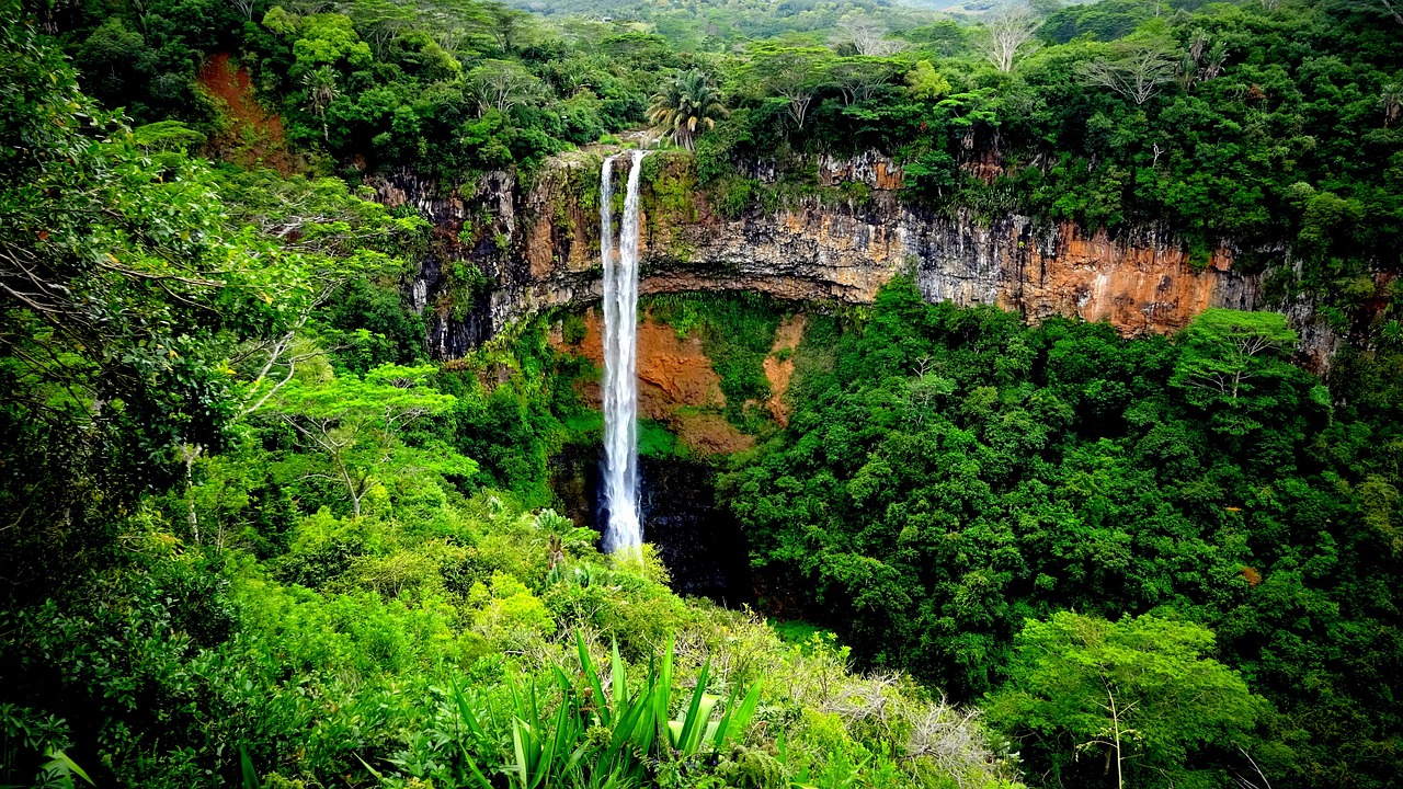 Tamarin Falls, Trou Aux Cerfs Volcano, and Manioc Biscuit Factory